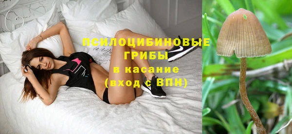 меф Алзамай