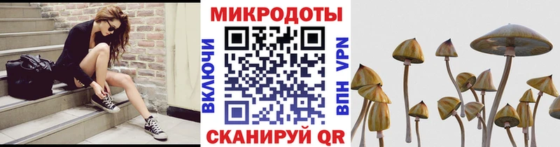 Галлюциногенные грибы прущие грибы  Звенигород 